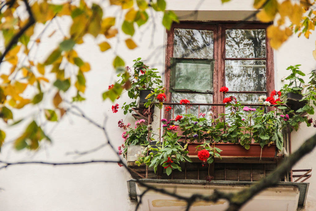 Новгородская область в лидерах по удешевлению вторичного жилья