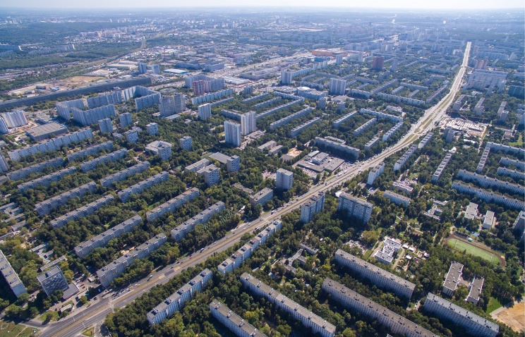 Наталья Гарнелис  ТАСС