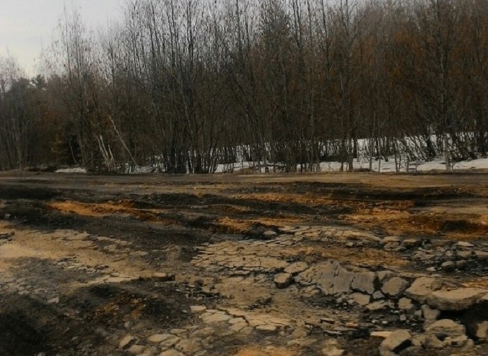 Вологодская область вошла в список регионов с критическим состоянием дорог
