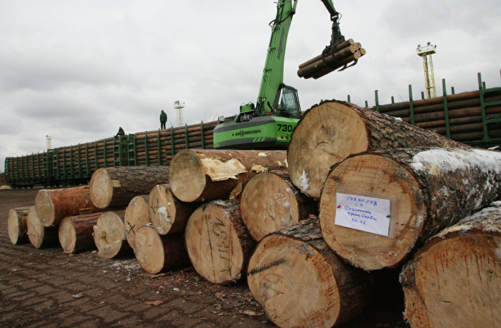 Уже через год в России могут разрешить строительство многоквартирных домов из дерева которые превышают три этажа