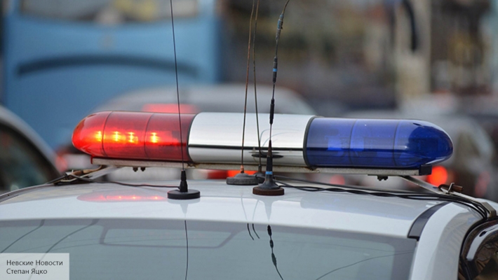 В Петербурге неизвестные жестоко избили футболистов юношеского'Динамо В Петербурге неизвестные жестоко избили футболистов юношеского'Динамо